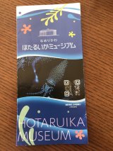 ほたるいかミュージアム
