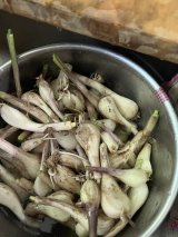 季節のおうちしごと