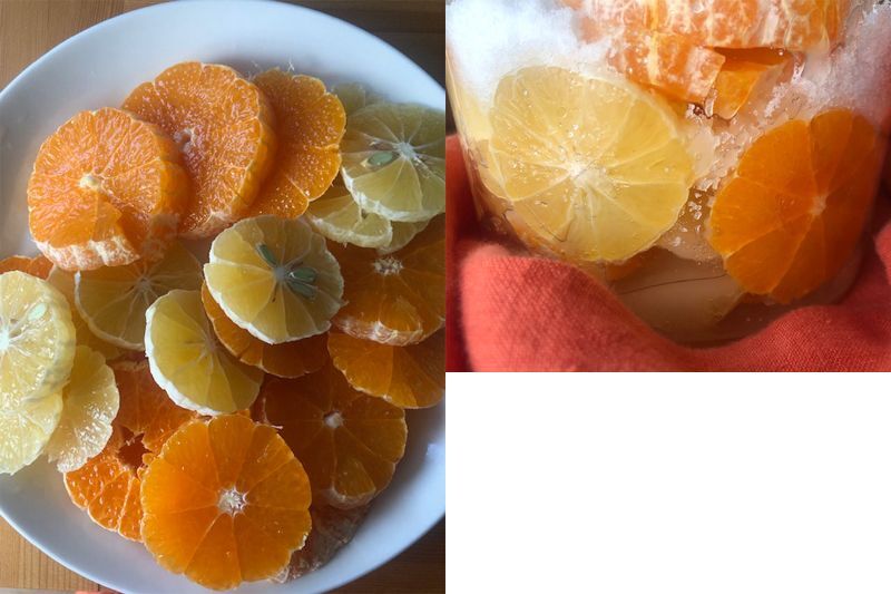 柑橘類の酵素シロップ