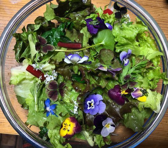 食べるお花