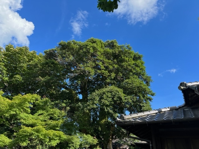 大雨による被害についてお見舞い申し上げます