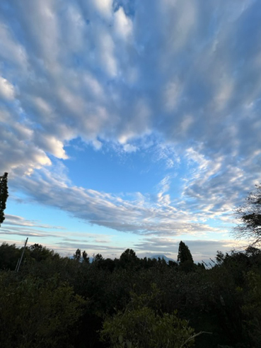 きれいな空