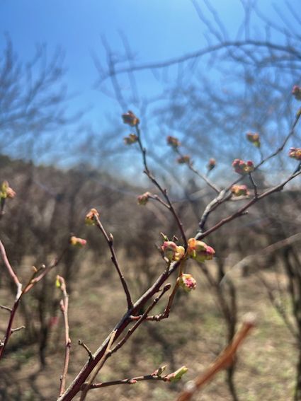 今日から3月