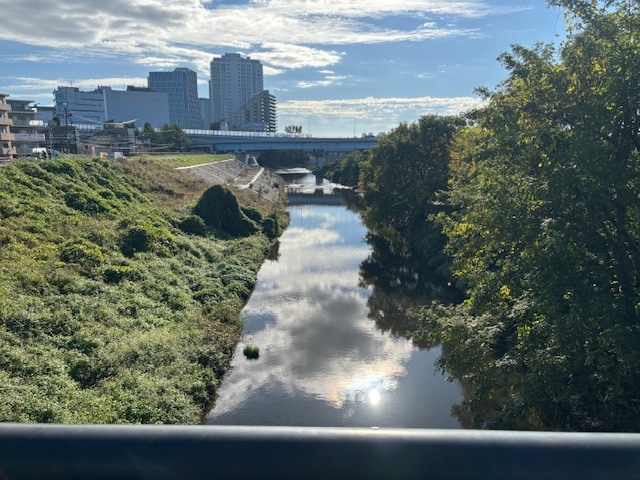 川とカワセミと商業ビル