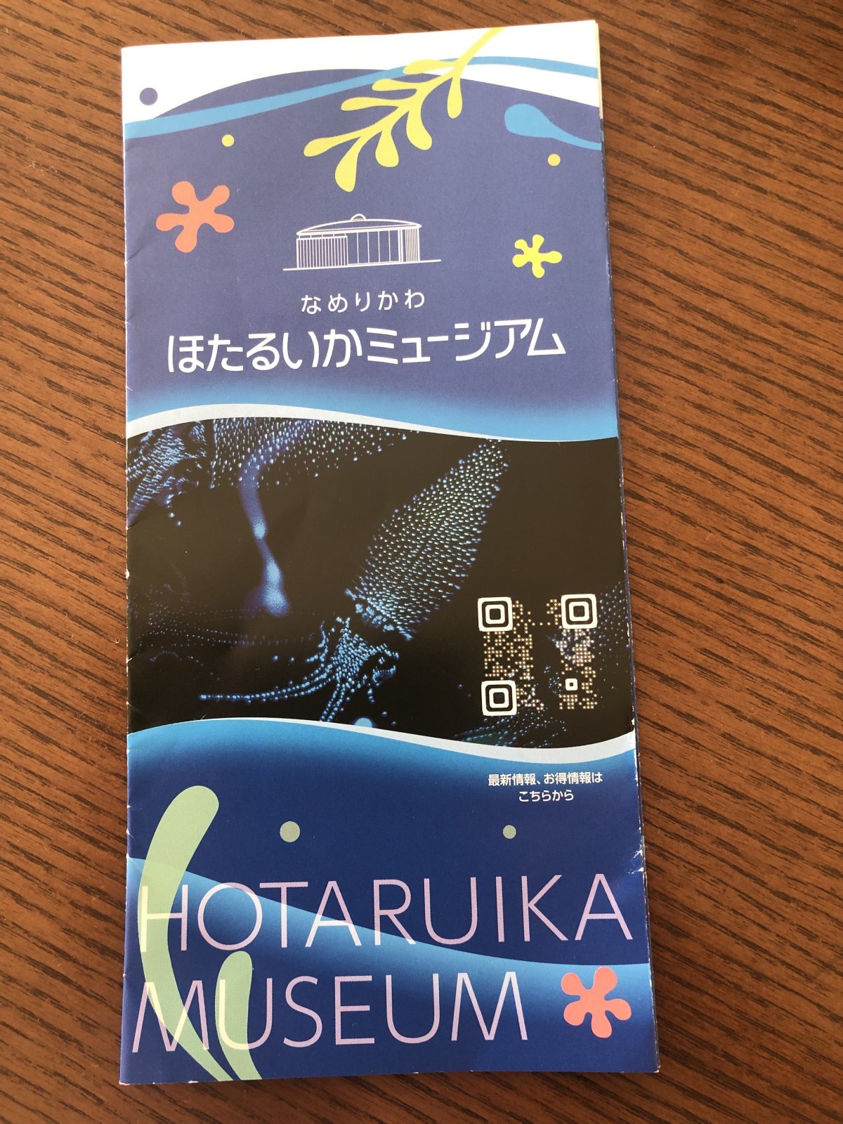 ほたるいかミュージアム